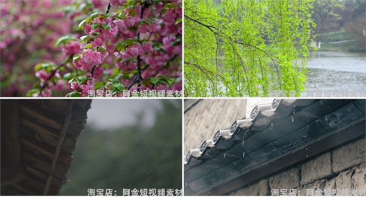 下雨雨滴绿叶清新绿色植物风景素材高清旅游自然治愈系短视频背景