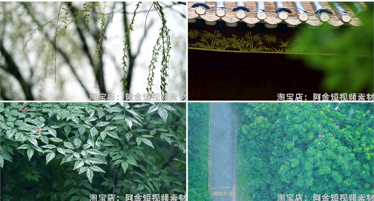 下雨雨滴绿叶清新绿色植物风景素材高清旅游自然治愈系短视频背景