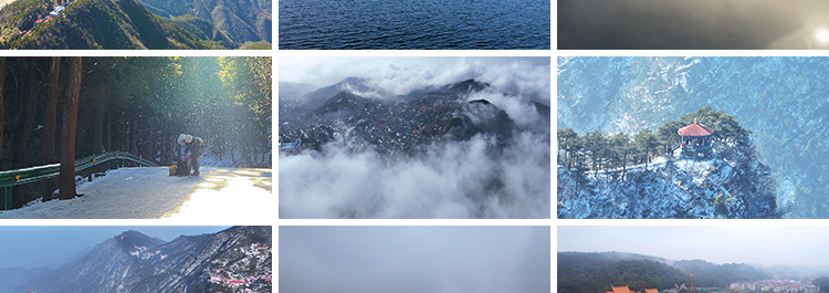 春雨雨滴下雨树叶绿叶清新绿色植物叶子雨水唯美意境春天视频素材