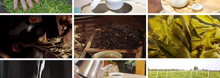 茶园采茶航拍倒茶喝茶文化茶农山茶绿茶泡茶艺茶道茶叶短视频素材