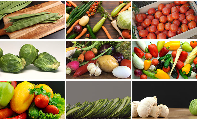 蔬菜西红柿辣椒菜椒彩椒茄子蘑菇切菜食材配菜宣传实拍短视频素材