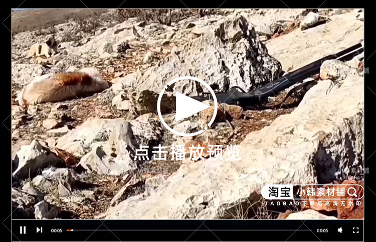 地下原始石头庇护所纪录片4K自媒体电影解说抖音短视频素材