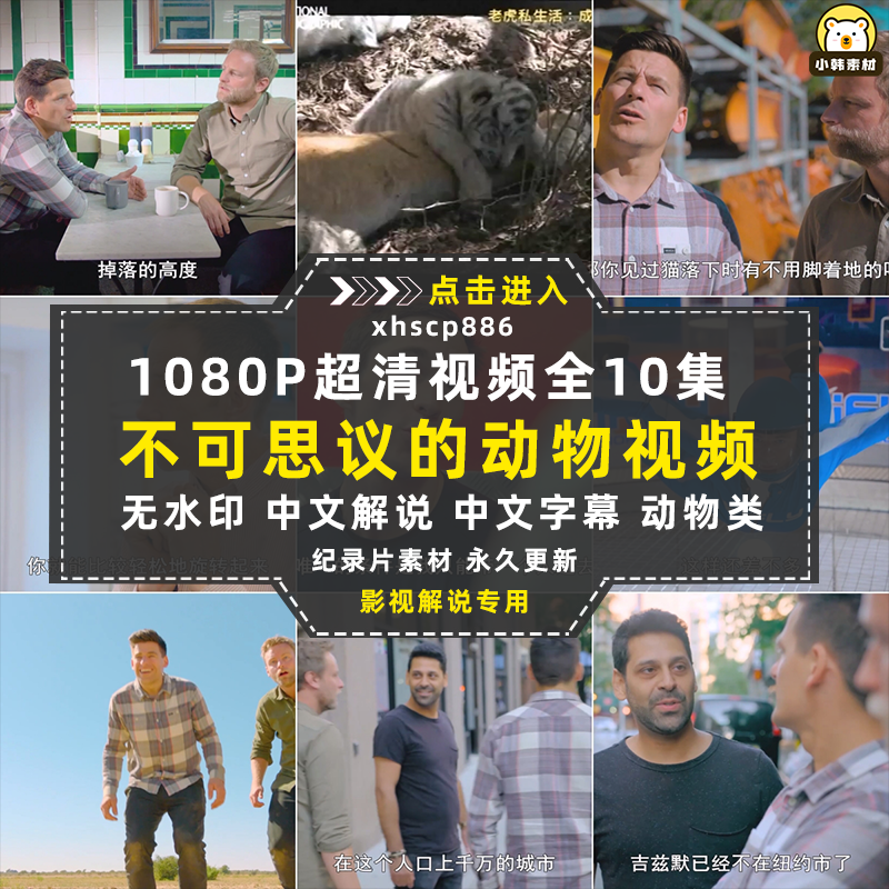 BBC动物纪录片不可思议的动物全10集中视频自媒体解说视频素材