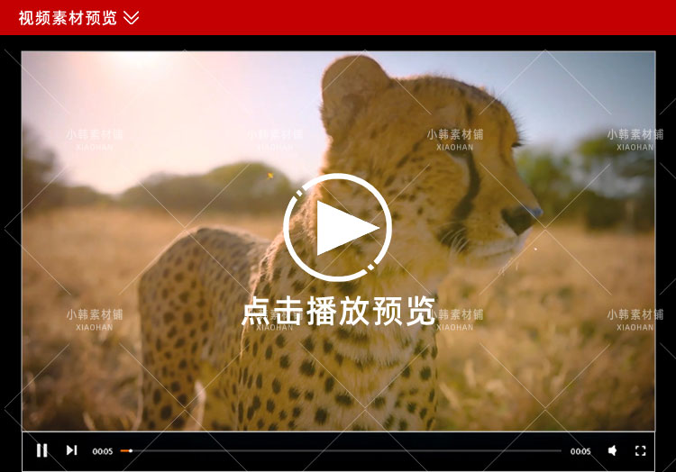 BBC动物纪录片不可思议的动物全10集中视频自媒体解说视频素材