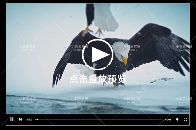 BBC动物纪录片不可思议的动物全10集中视频自媒体解说视频素材