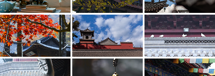 寺庙古风禅意佛系意境古风铃铛香炉古寺院风景抖音高清短视频素材