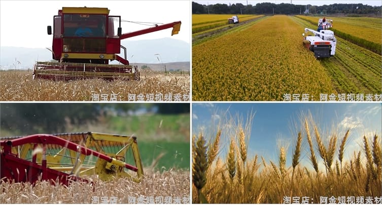 现代农业农田机械生产小麦田水稻收割机丰收视频高清实拍素材剪辑