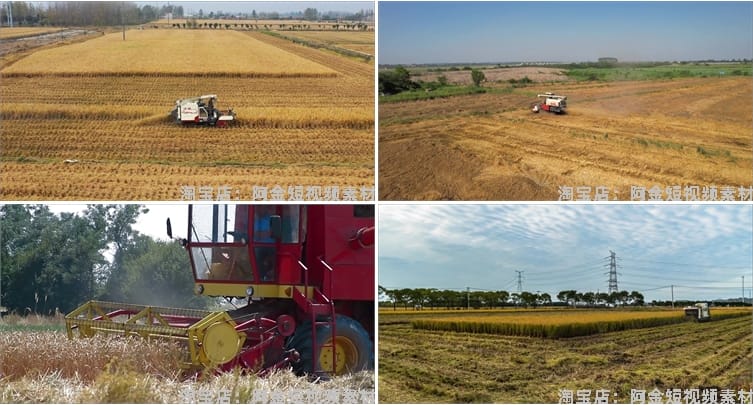现代农业农田机械生产小麦田水稻收割机丰收视频高清实拍素材剪辑