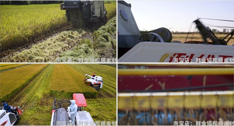 现代农业农田机械生产小麦田水稻收割机丰收视频高清实拍素材剪辑
