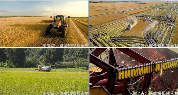 现代农业农田机械生产小麦田水稻收割机丰收视频高清实拍素材剪辑