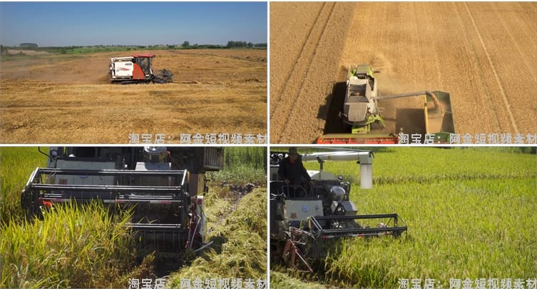 现代农业农田机械生产小麦田水稻收割机丰收视频高清实拍素材剪辑