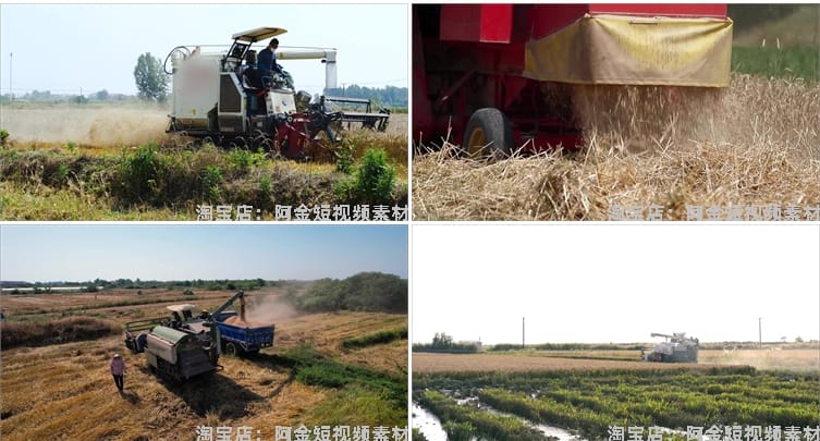 现代农业农田机械生产小麦田水稻收割机丰收视频高清实拍素材剪辑