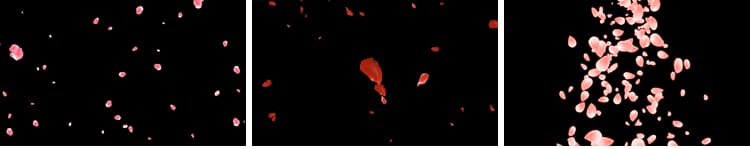 花瓣花朵飞舞飘落动态桃花玫瑰花特效动画pr_ae透明通道视频素材