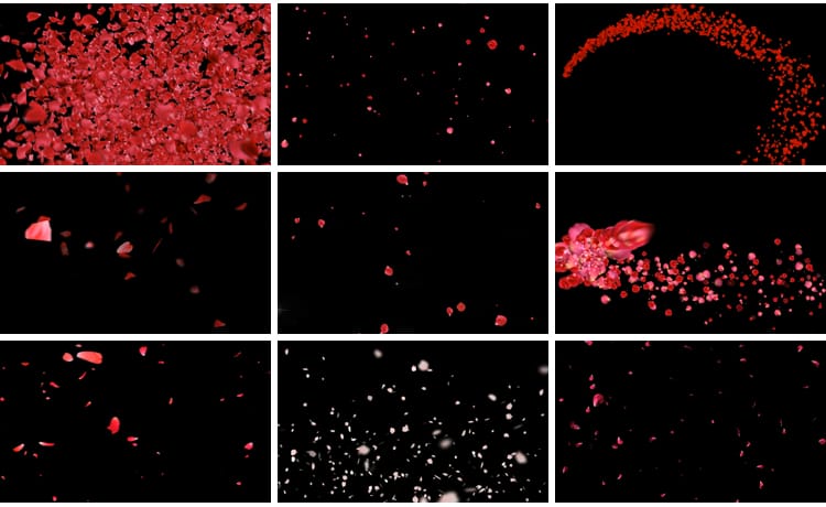 花瓣花朵飞舞飘落动态桃花玫瑰花特效动画pr_ae透明通道视频素材