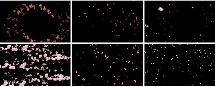 花瓣花朵飞舞飘落动态桃花玫瑰花特效动画pr_ae透明通道视频素材