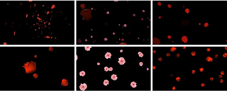 花瓣花朵飞舞飘落动态桃花玫瑰花特效动画pr_ae透明通道视频素材