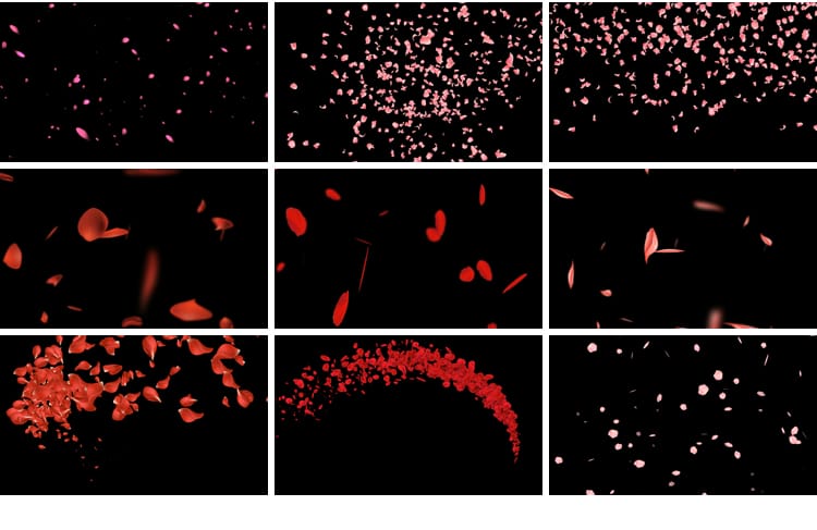 花瓣花朵飞舞飘落动态桃花玫瑰花特效动画pr_ae透明通道视频素材