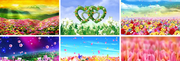 百花盛开唯美花海鲜花花朵花瓣飞舞台婚礼LED大屏幕背景视频素材