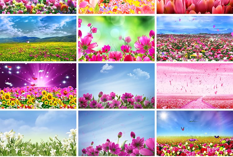 百花盛开唯美花海鲜花花朵花瓣飞舞台婚礼LED大屏幕背景视频素材