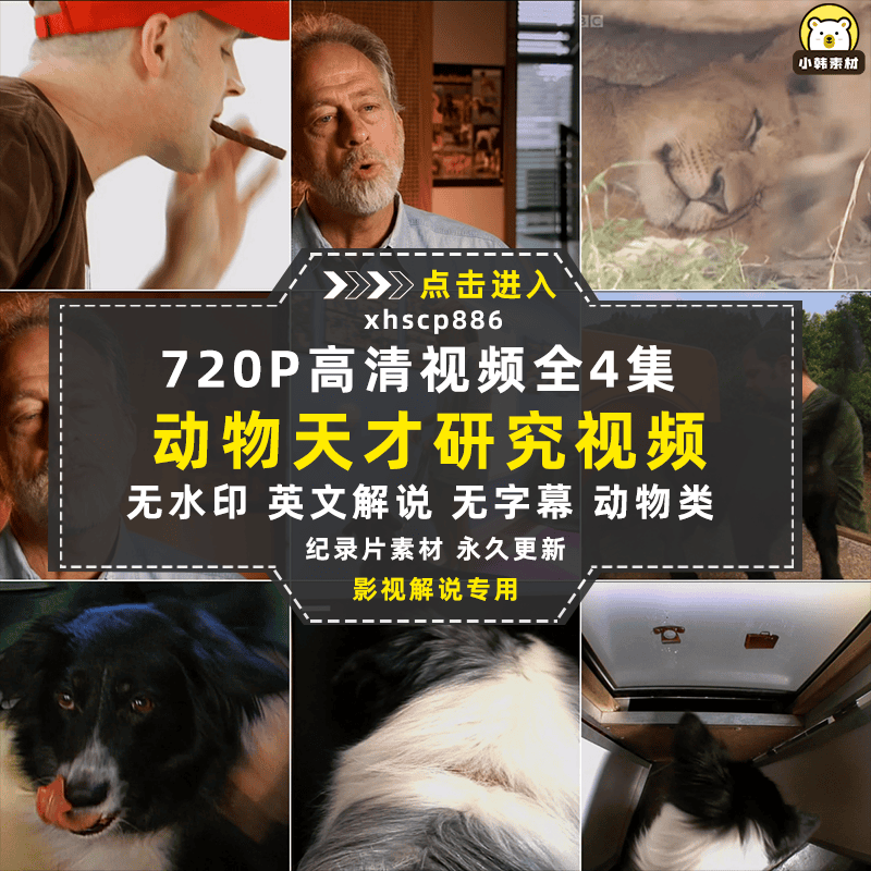 国家地理动物研究纪录片动物天才全4集中视频自媒体解说视频素材