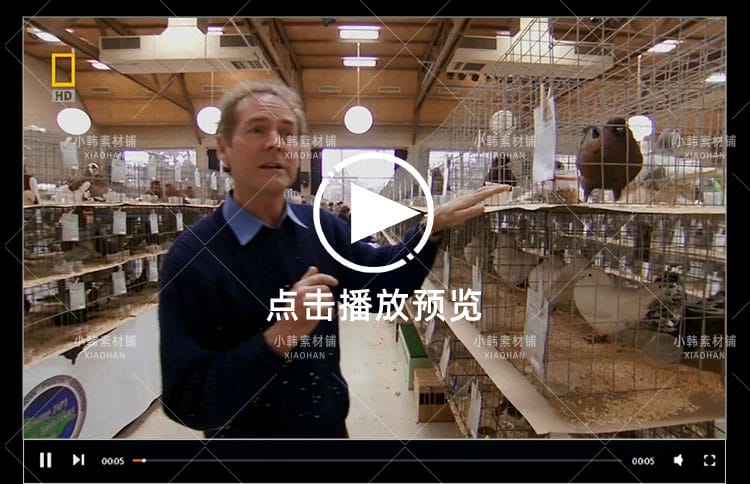 国家地理动物研究纪录片动物天才全4集中视频自媒体解说视频素材