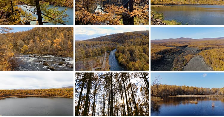 内蒙古阿尔山秋季自然风景金秋天杜鹃湖不冻河风光天池短视频素材