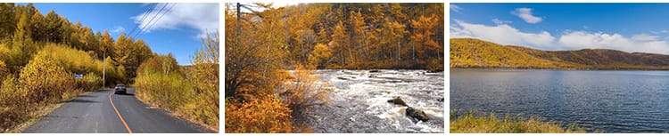 内蒙古阿尔山秋季自然风景金秋天杜鹃湖不冻河风光天池短视频素材