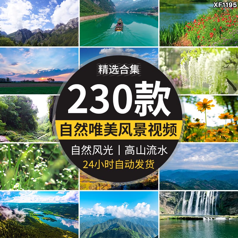 自然风景高山流水清新花草旅途风光绽放春天植物鲜花朵短视频素材