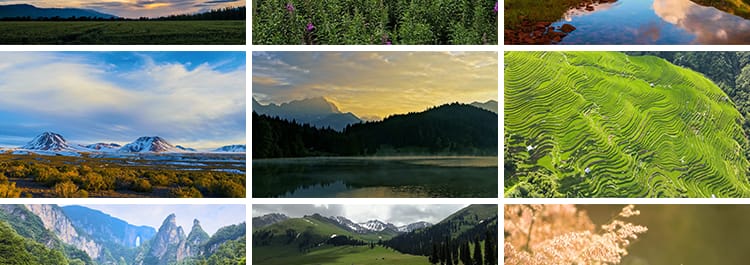 自然风景高山流水清新花草旅途风光绽放春天植物鲜花朵短视频素材