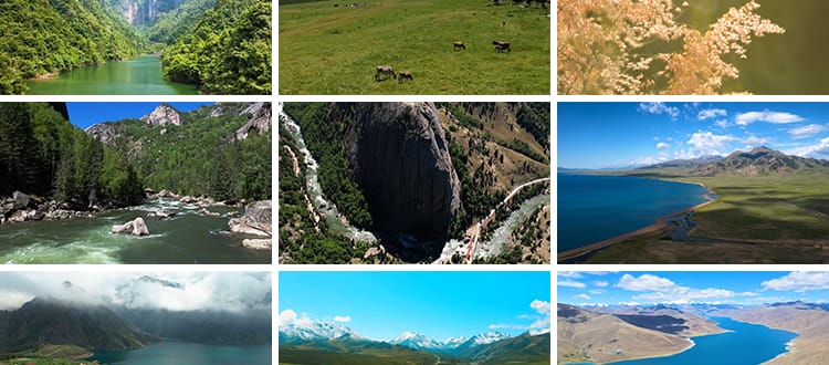 自然风景高山流水清新花草旅途风光绽放春天植物鲜花朵短视频素材