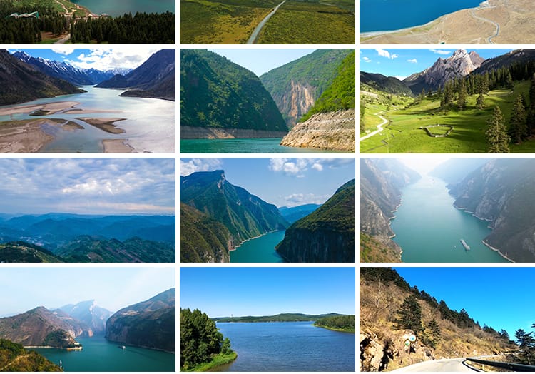 自然风景高山流水清新花草旅途风光绽放春天植物鲜花朵短视频素材