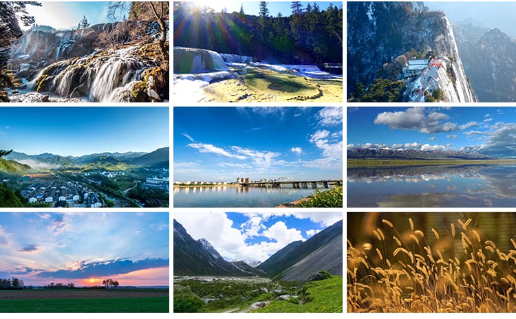 自然风景高山流水清新花草旅途风光绽放春天植物鲜花朵短视频素材