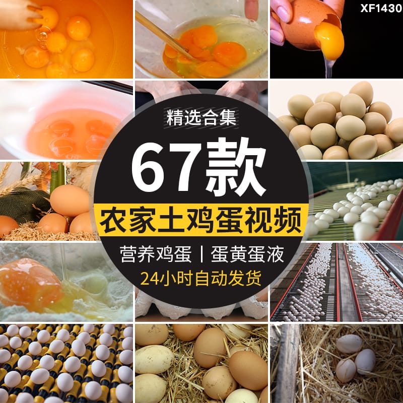 农家土鸡蛋蛋黄营养笨鸡蛋无公害草鸡蛋本鸡蛋宣传片高清视频素材