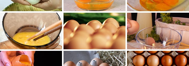 农家土鸡蛋蛋黄营养笨鸡蛋无公害草鸡蛋本鸡蛋宣传片高清视频素材