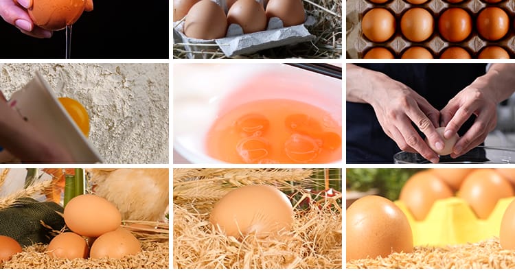 农家土鸡蛋蛋黄营养笨鸡蛋无公害草鸡蛋本鸡蛋宣传片高清视频素材