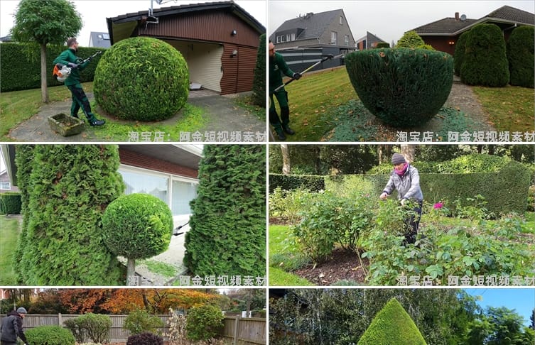 修剪草坪树木除草小说推文素材国外解压直播自媒体高清短视频引流