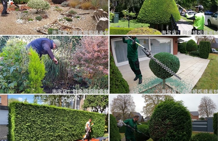 修剪草坪树木除草小说推文素材国外解压直播自媒体高清短视频引流