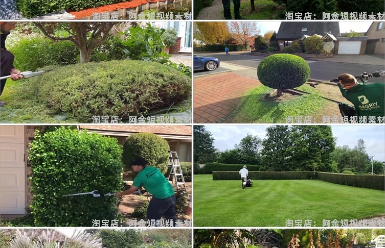修剪草坪树木除草小说推文素材国外解压直播自媒体高清短视频引流