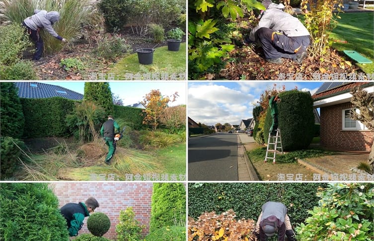 修剪草坪树木除草小说推文素材国外解压直播自媒体高清短视频引流