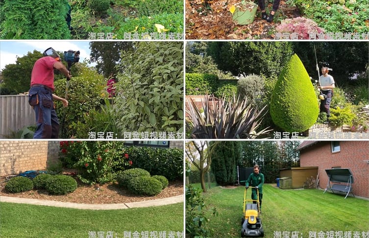 修剪草坪树木除草小说推文素材国外解压直播自媒体高清短视频引流