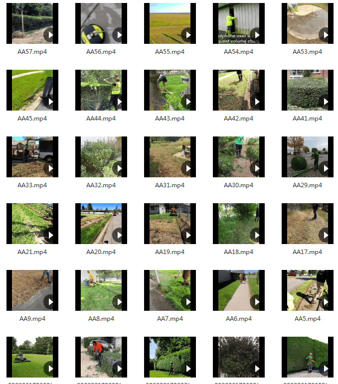 修剪草坪树木除草小说推文素材国外解压直播自媒体高清短视频引流