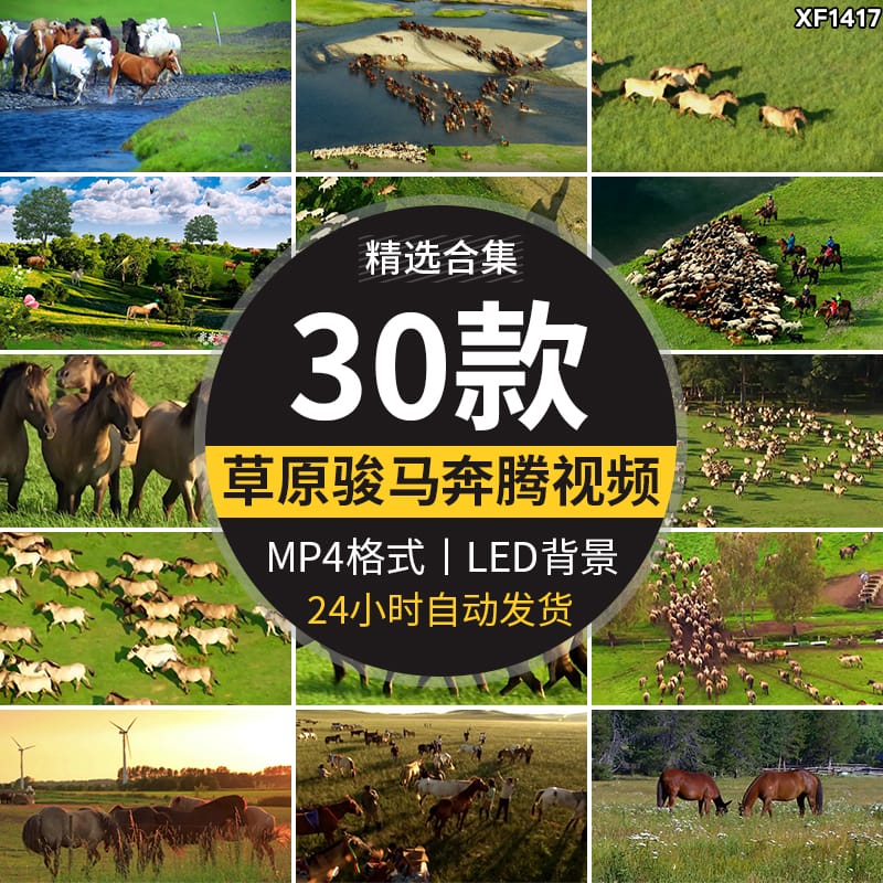 内蒙古大草原骏马群万马奔腾航拍套马放马赛牧马LED背景视频素材