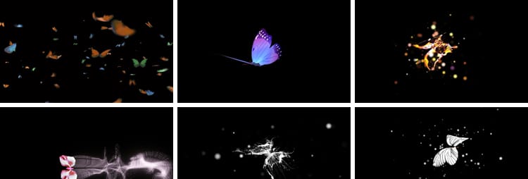 蝴蝶飞舞拖尾效果粒子后期特效合成动态pr_ae通道透明底视频素材