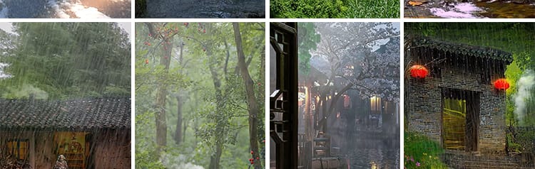 竖版竖屏唯美下雨雪景清新自然风景治愈系美景色直播背景视频素材