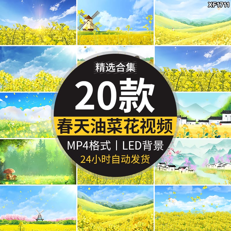 唯美春天油菜花地金色花海田园风景花田水墨LED背景动态视频素材