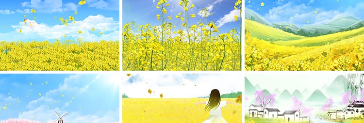 唯美春天油菜花地金色花海田园风景花田水墨LED背景动态视频素材