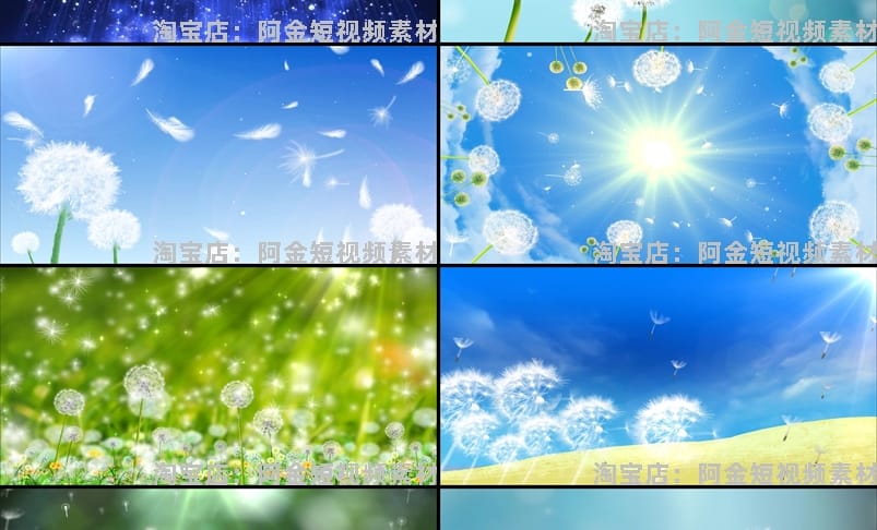 小清新唯美蒲公英梦幻大屏幕舞台动感LED高清视频场景背景素材