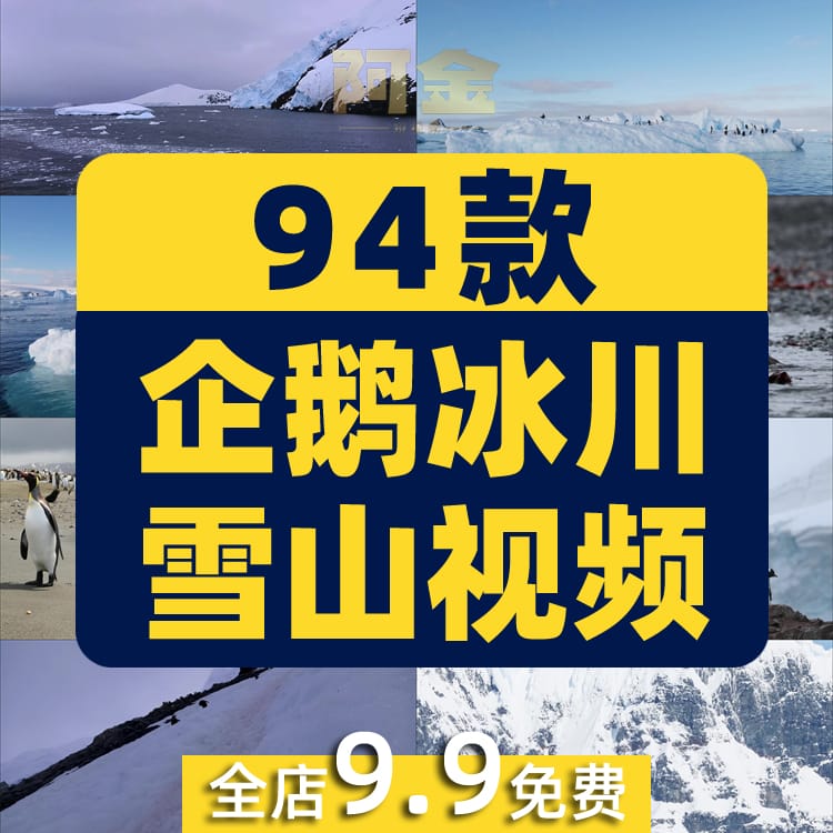 南极企鹅冰山冰川雪山动物风景素材高清旅游自然治愈系短视频背景
