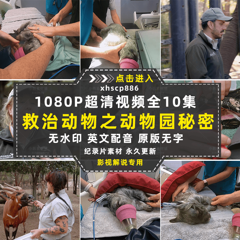 救治动物纪录片动物园秘密全10集自媒体快手抖音视频剪辑素材