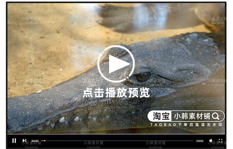 救治动物纪录片动物园秘密全10集自媒体快手抖音视频剪辑素材